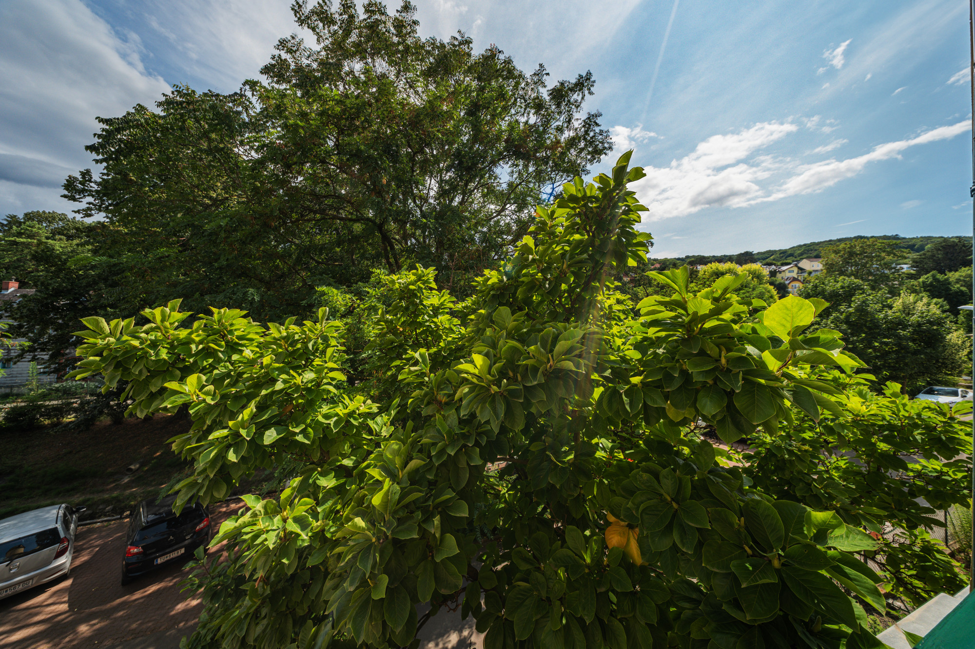 Charming Family Residence in Klosterneuburg