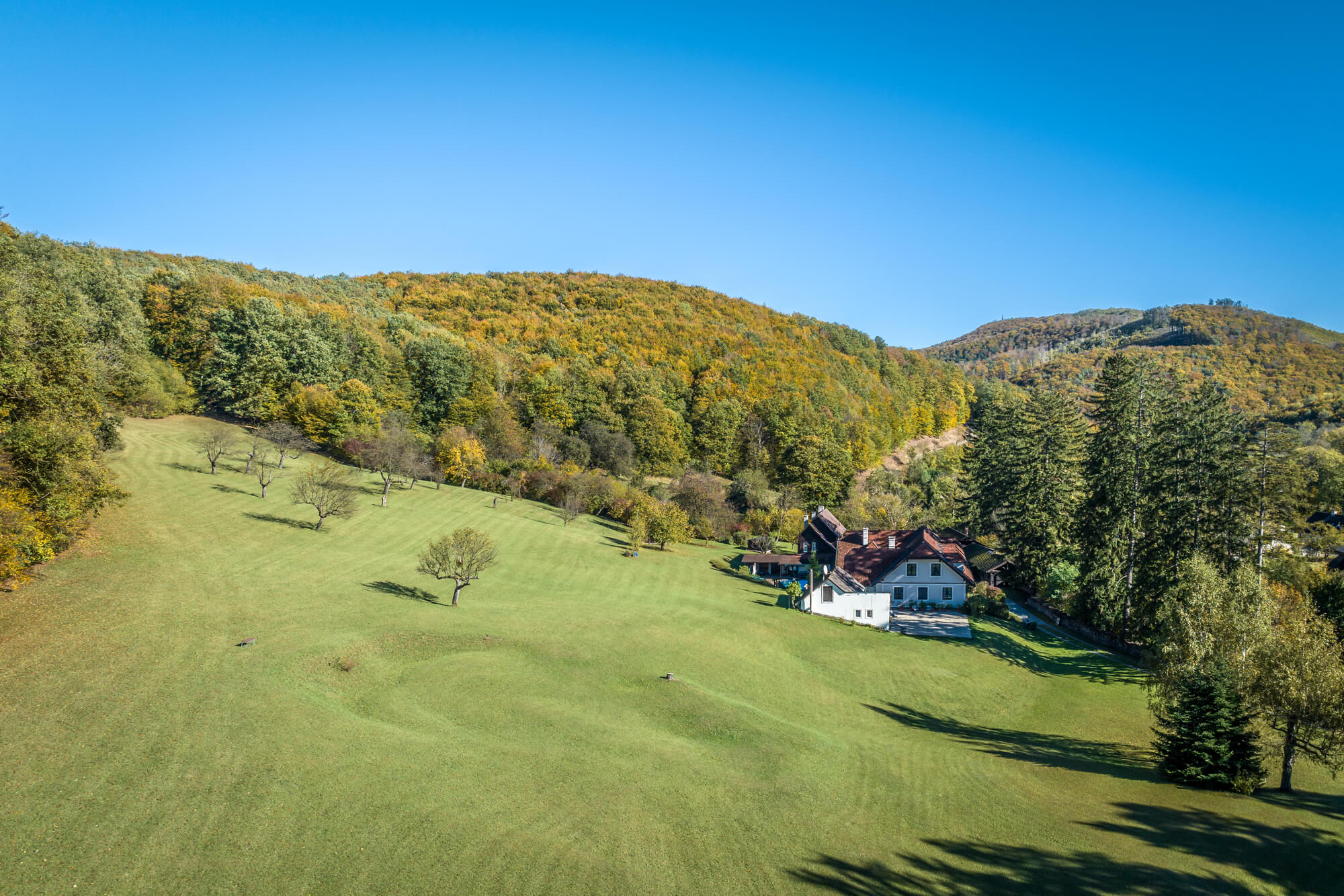 Spacious estate near Klosterneuburg