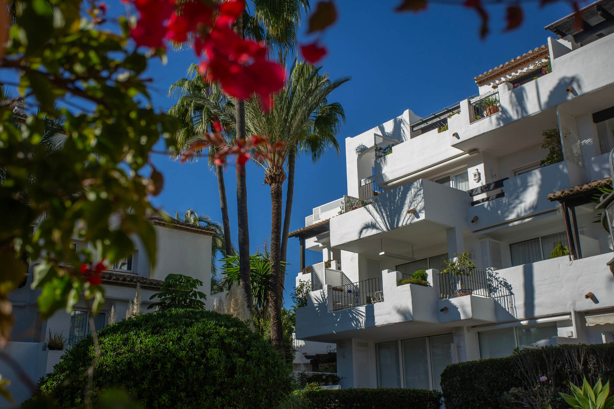 Marina Puente Romano: Eck-Penthouse