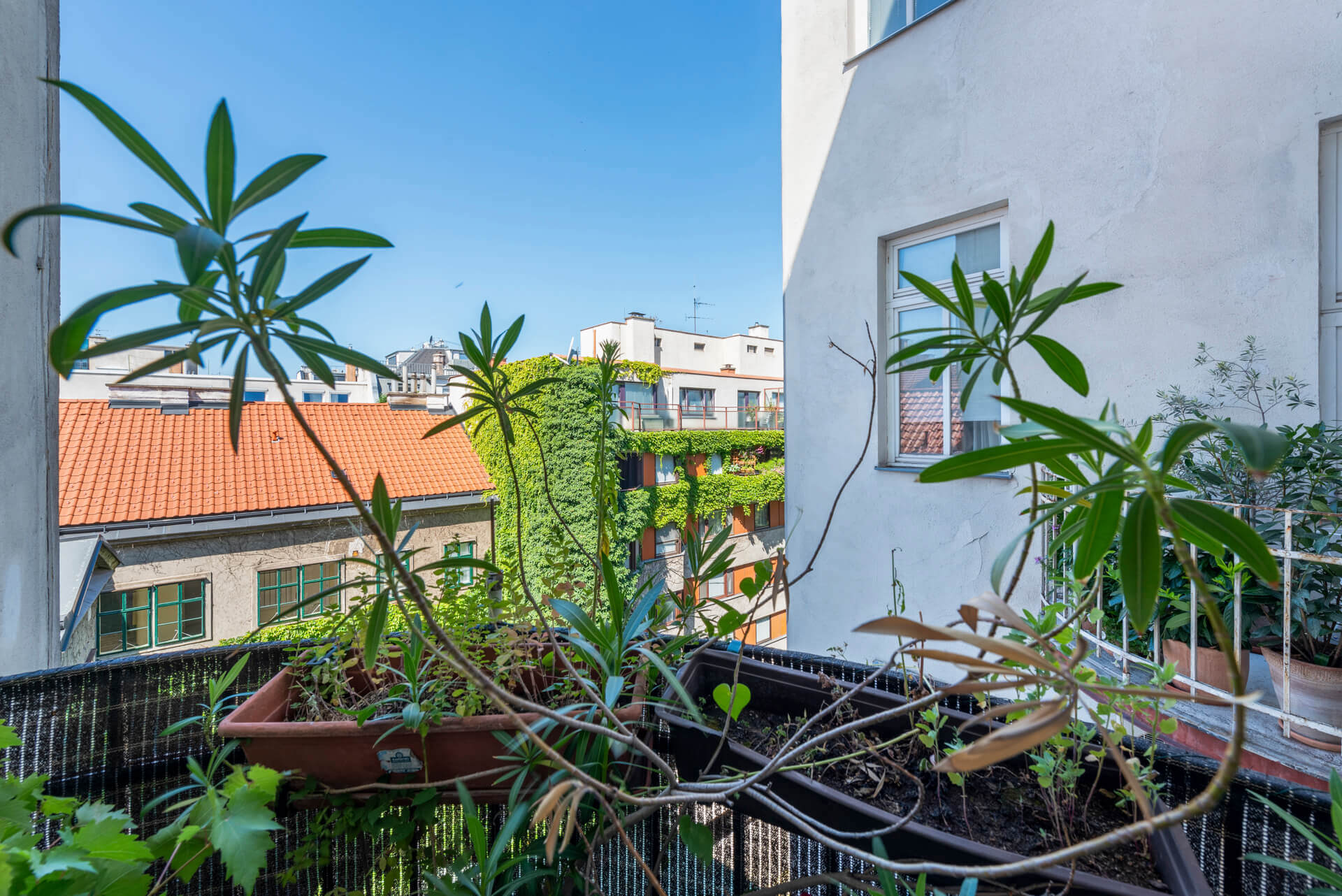 Peaceful apartement in a traditional building near Theresianum school