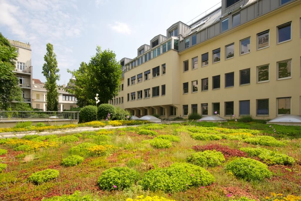 Working in the countryside, between office and nature at Währinger Park