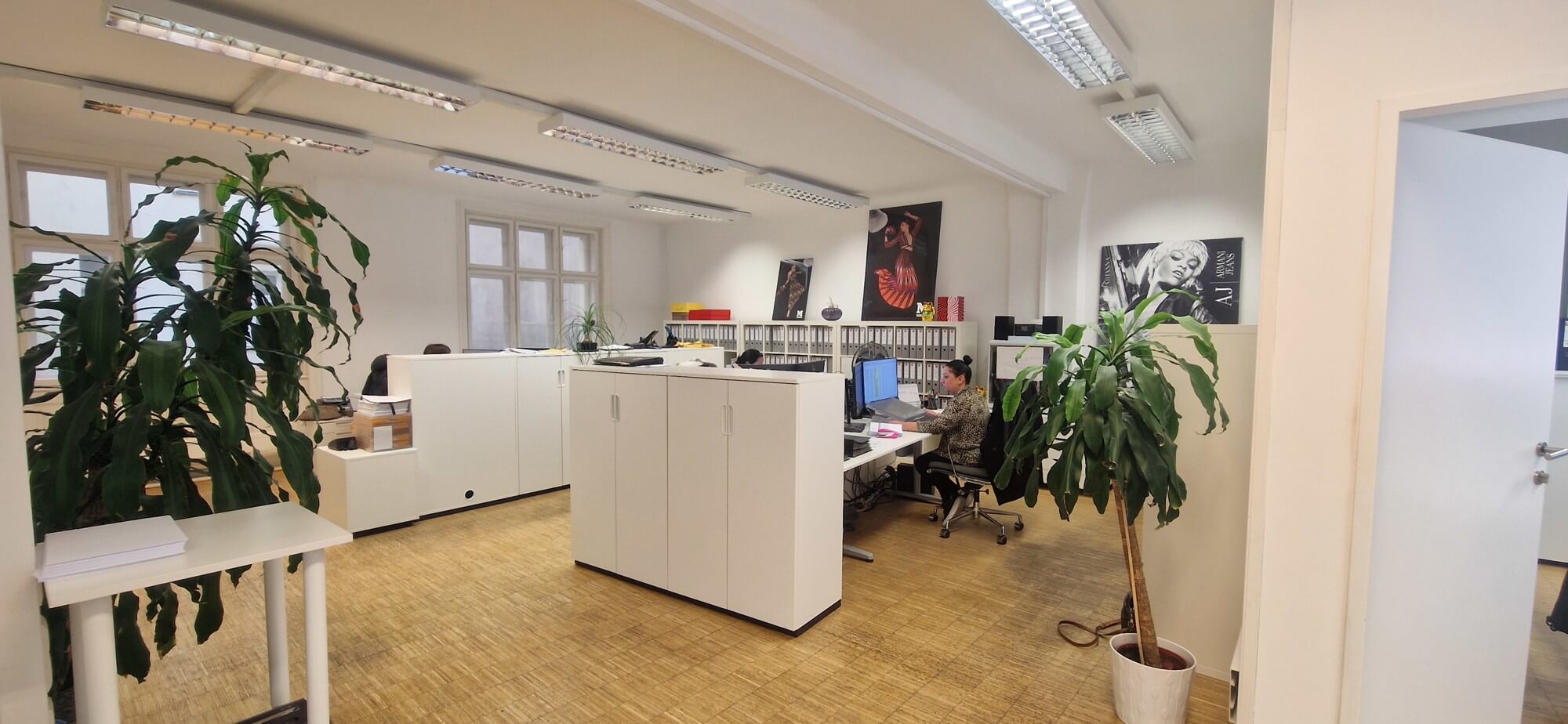 Altbaubüro Nähe Stephansplatz