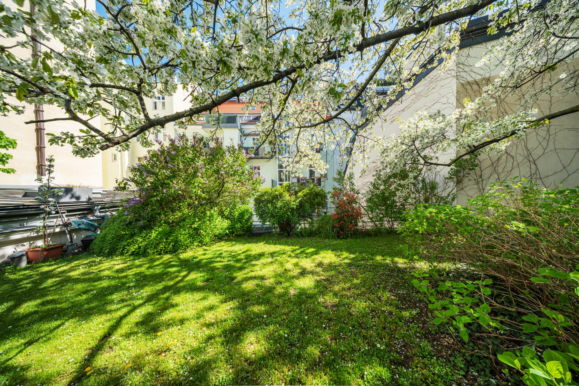 Mitten im Neunten - Loft mit Garten und Terrasse