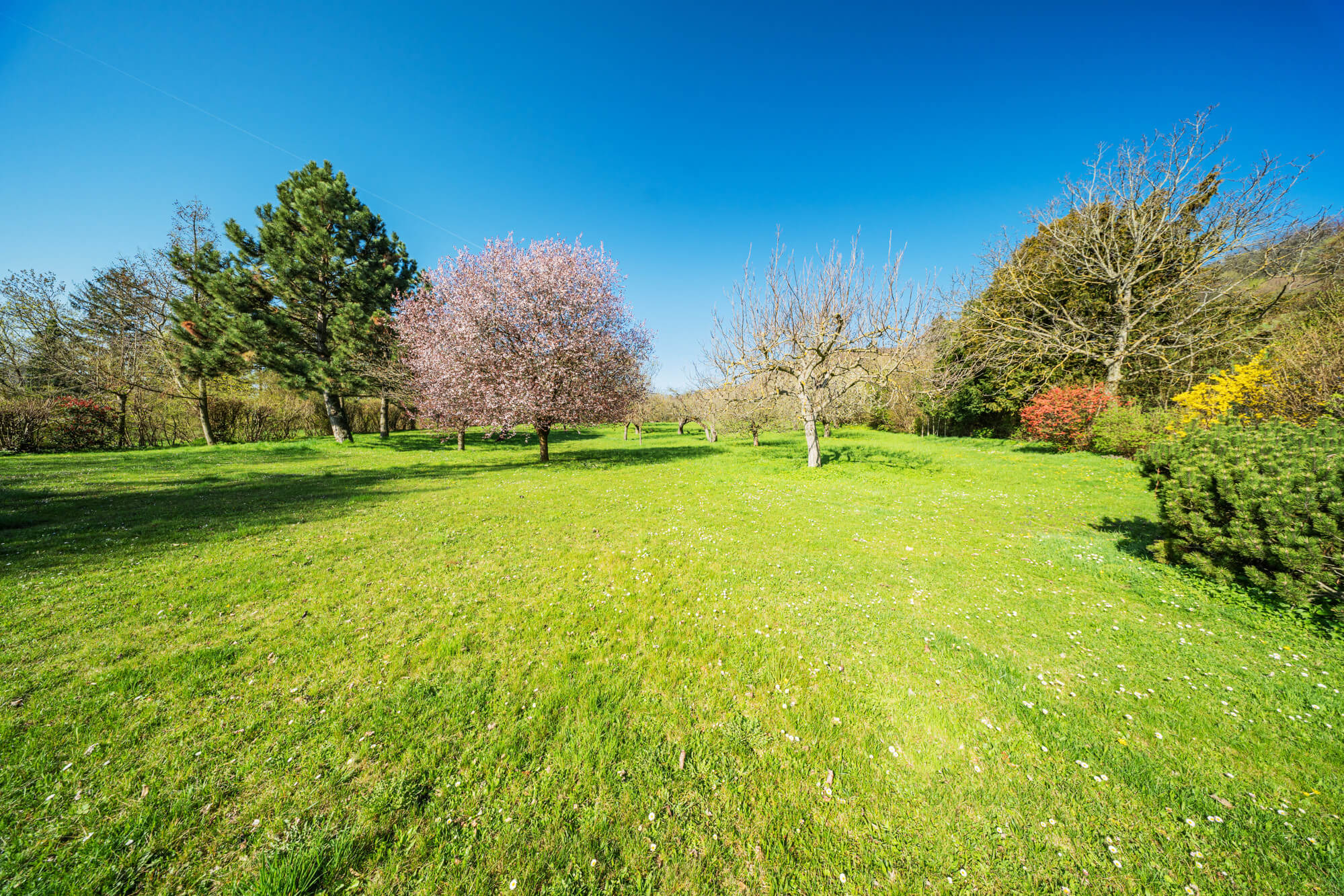 The Strauß Villa in Döbling