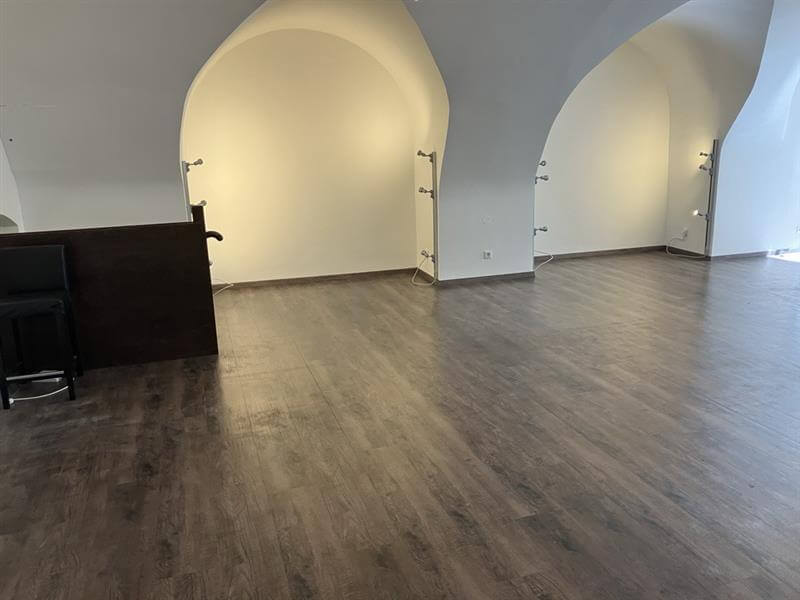 Prachtvolle Geschäftsfläche im Palais Erdödy-Fürstenberg