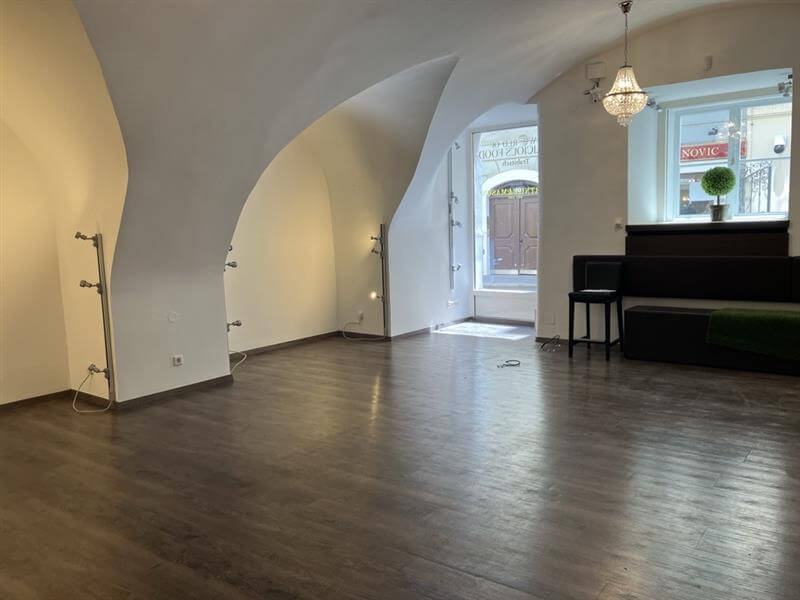 Prachtvolle Geschäftsfläche im Palais Erdödy-Fürstenberg