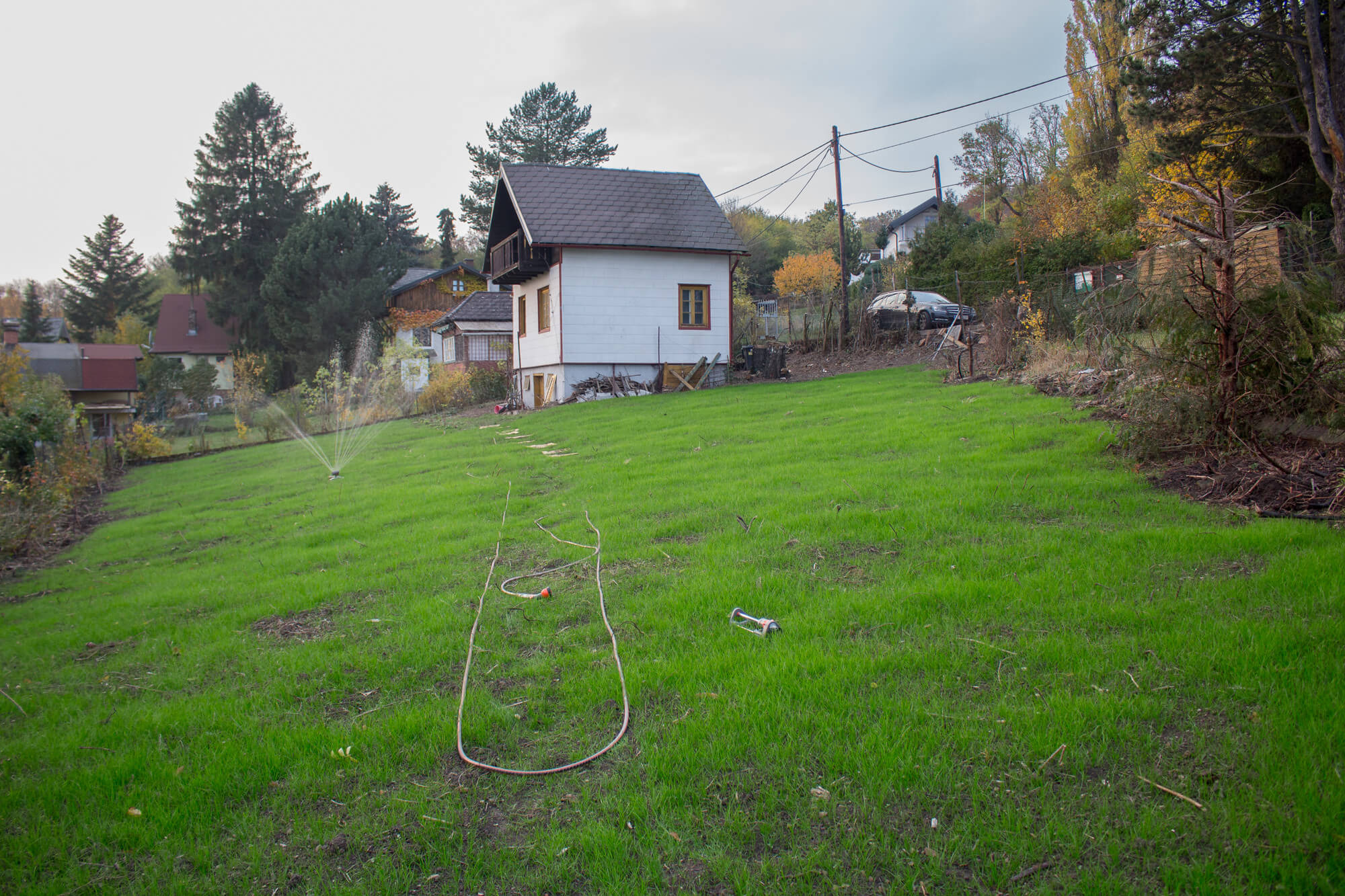 garden plot with exceptional size