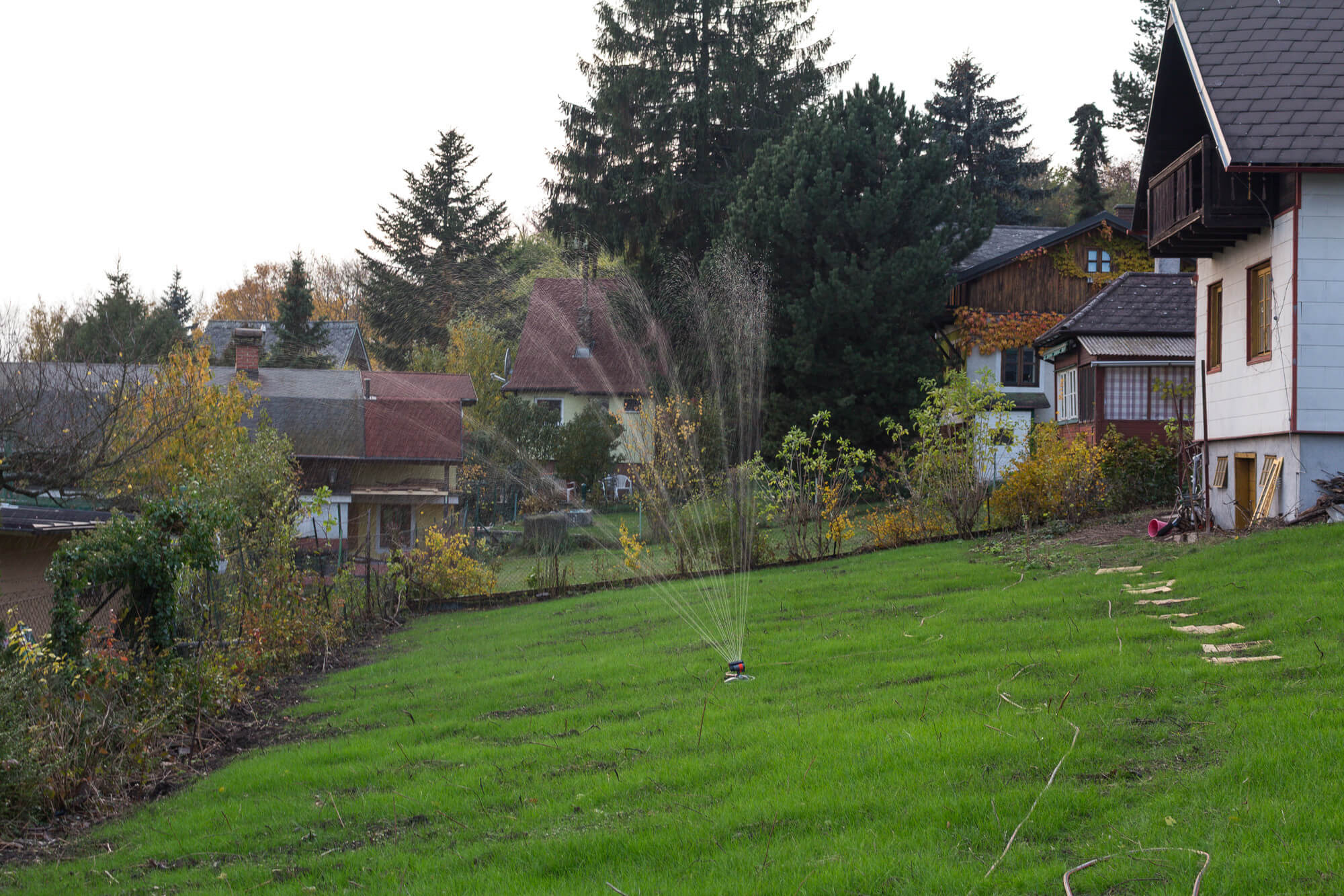 garden plot with exceptional size