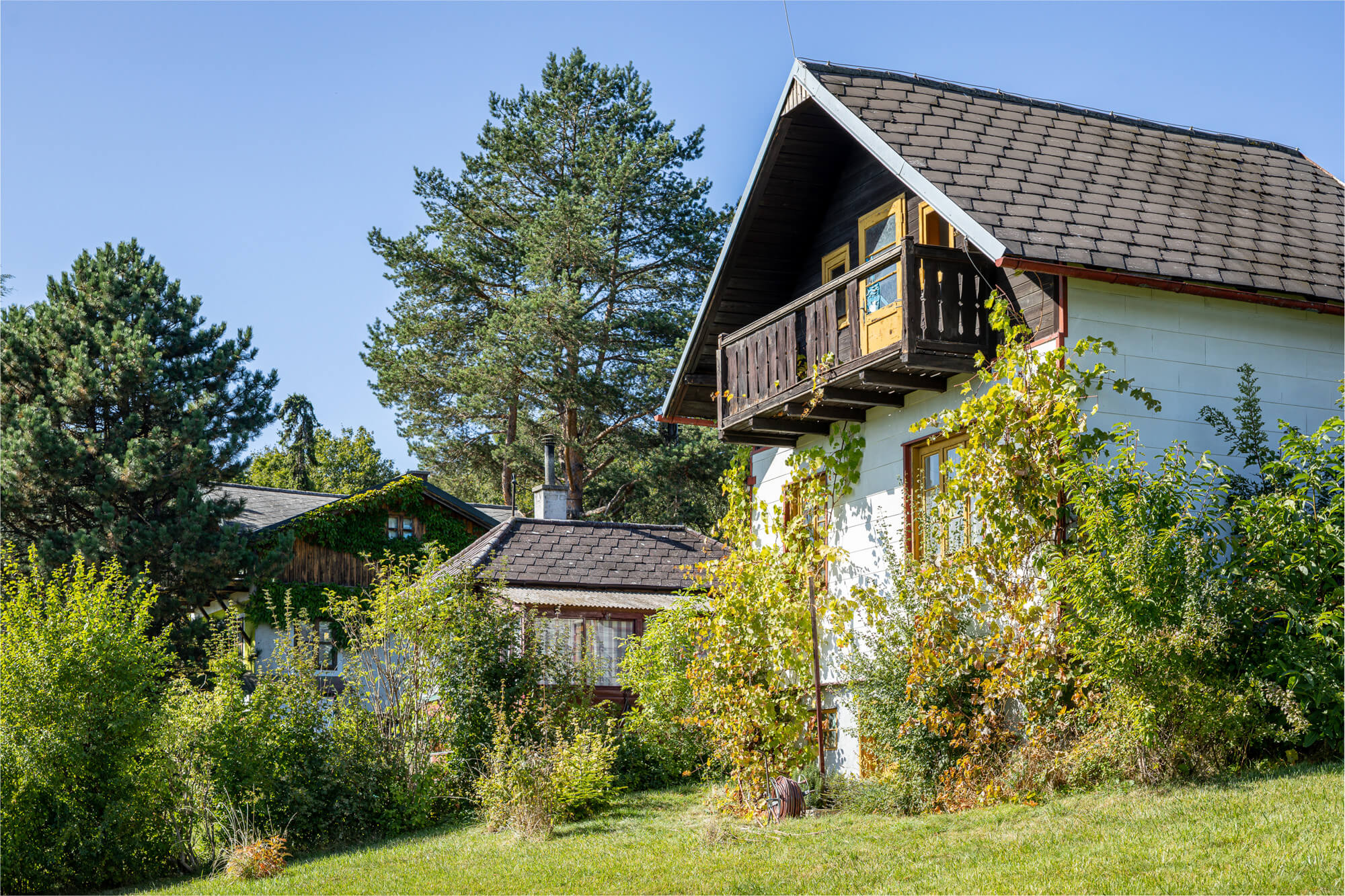 garden plot with exceptional size