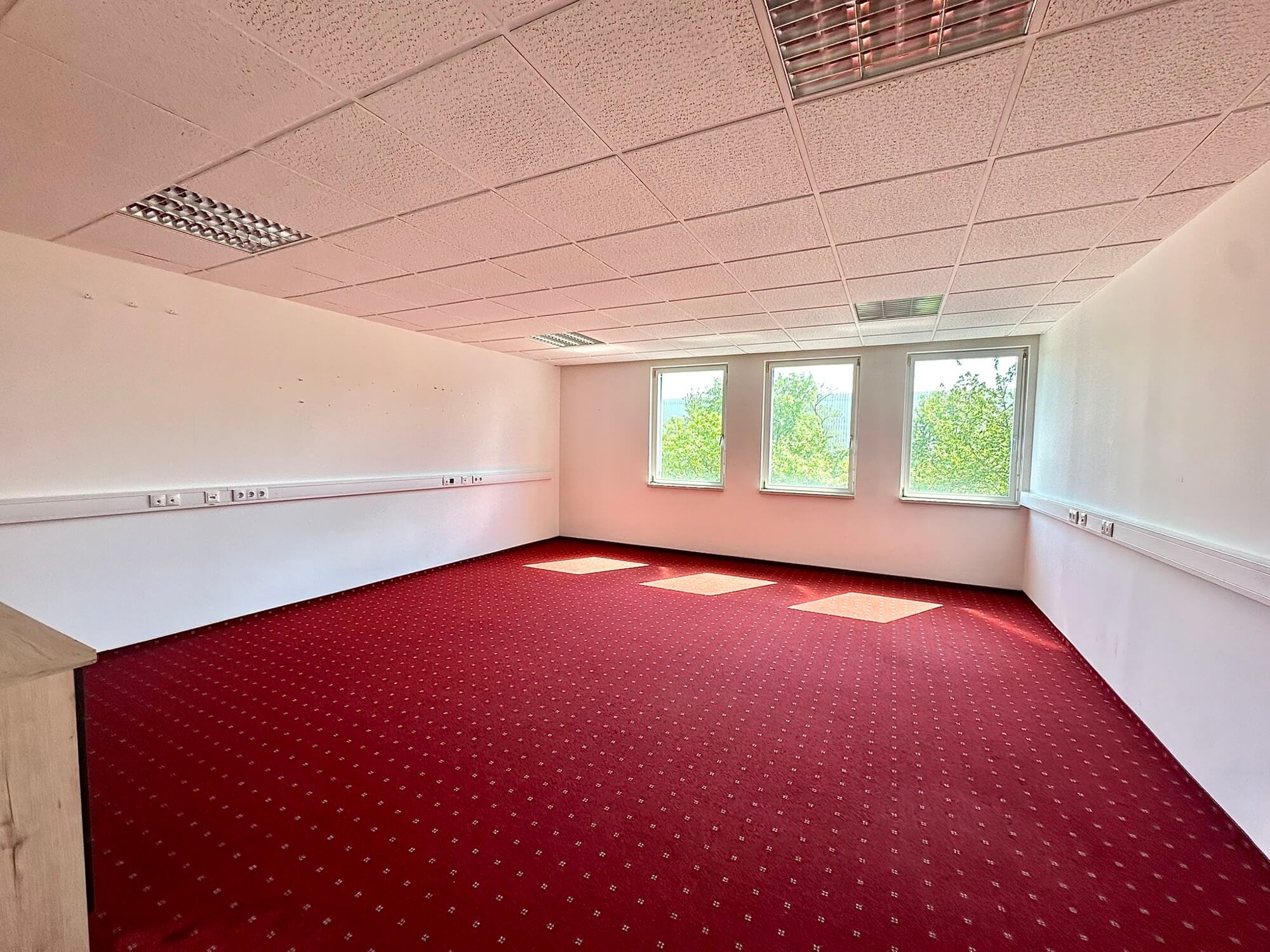 Büro-Lager-Kombi mit großzügiger Grünfläche