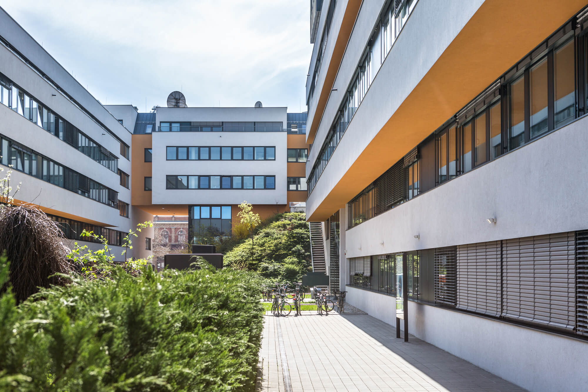 MQM | Moderne Büros Nahe Rinderhalle | innovativ & hochwertig