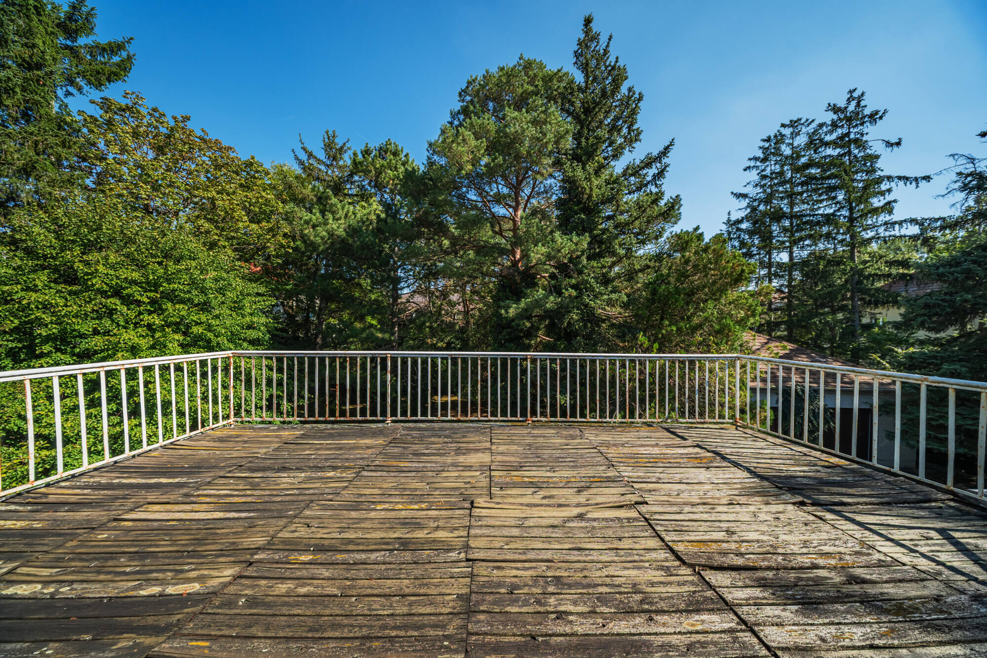 Einfamilienhaus in bester Maurer Lage