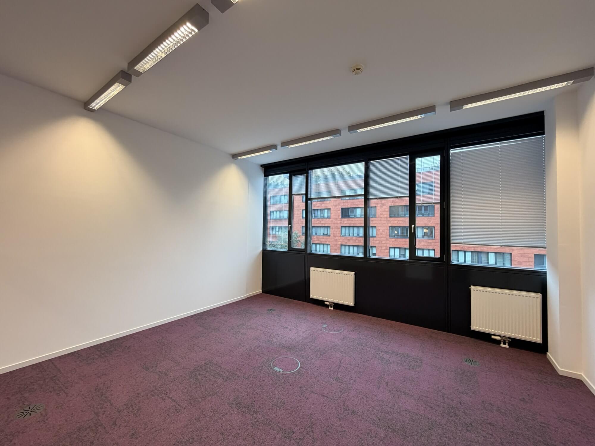 Offen gestaltete Bürofläche