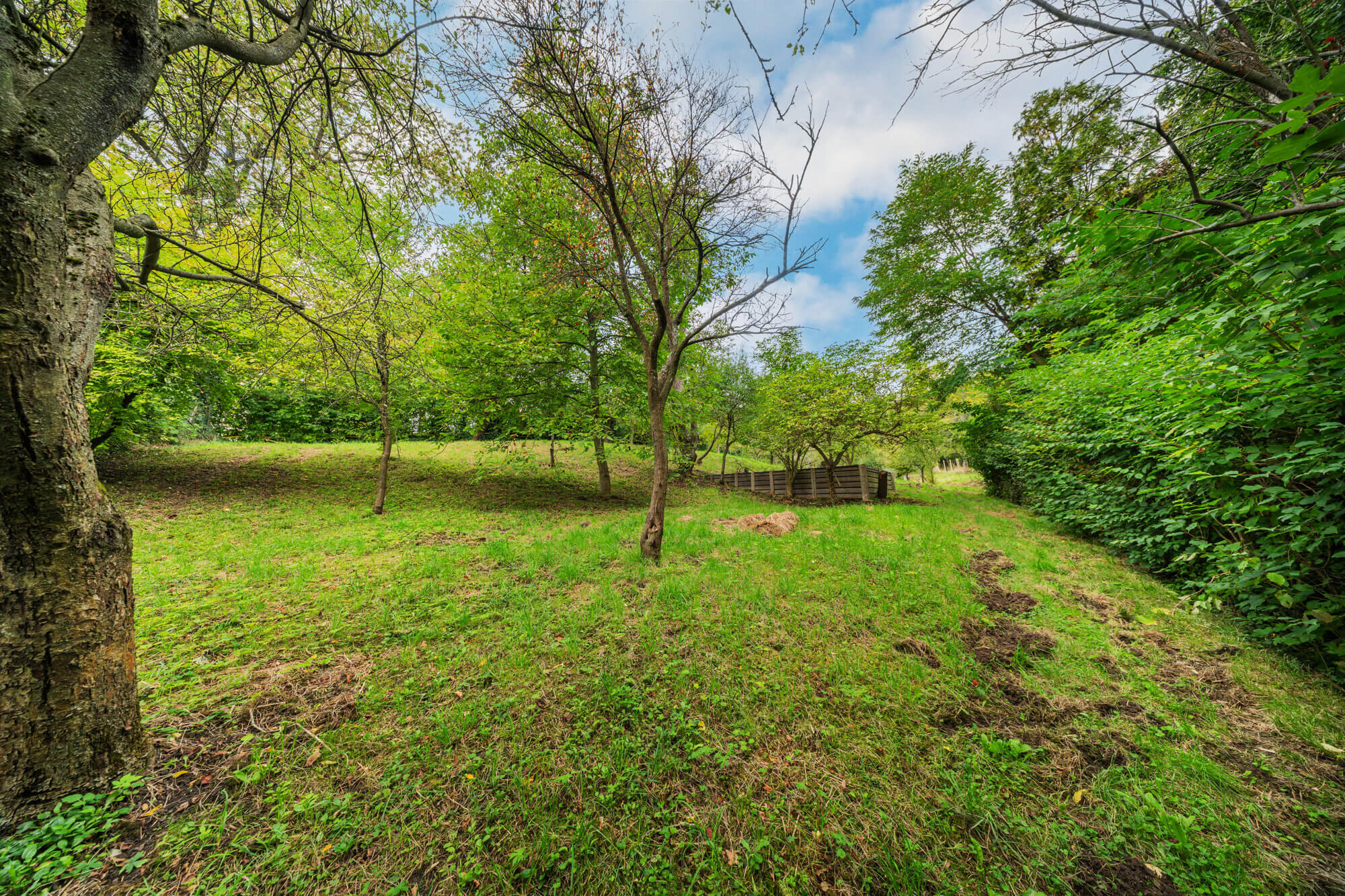 Single-family house in a prestigious location