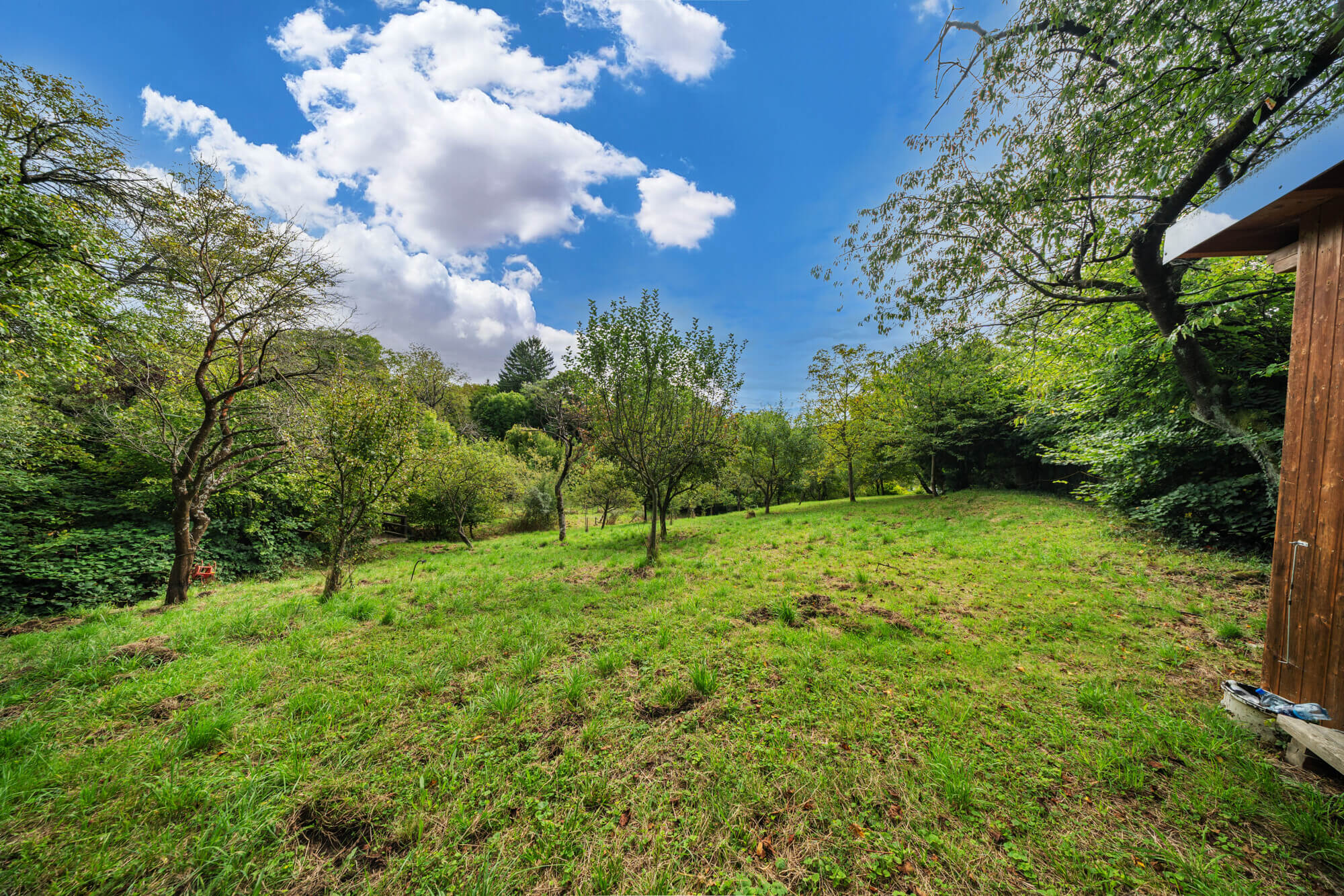 Single-family house in a prestigious location