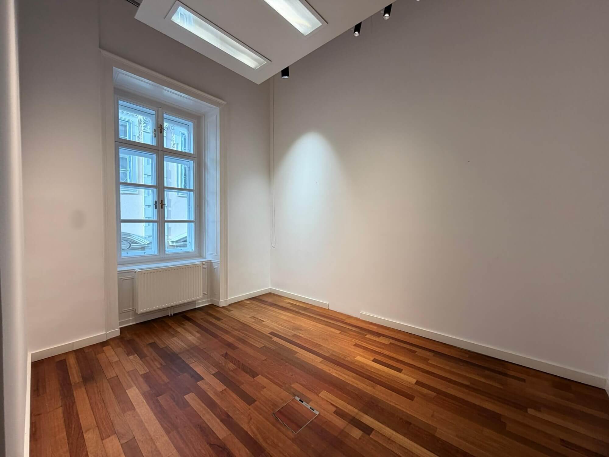 Exclusive office at Palais Ferstel