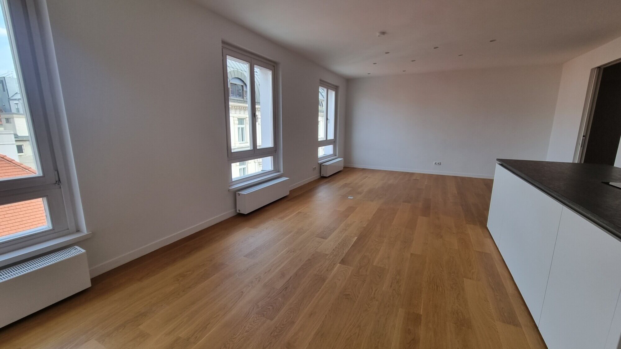 3-room apartment in a city-center palace