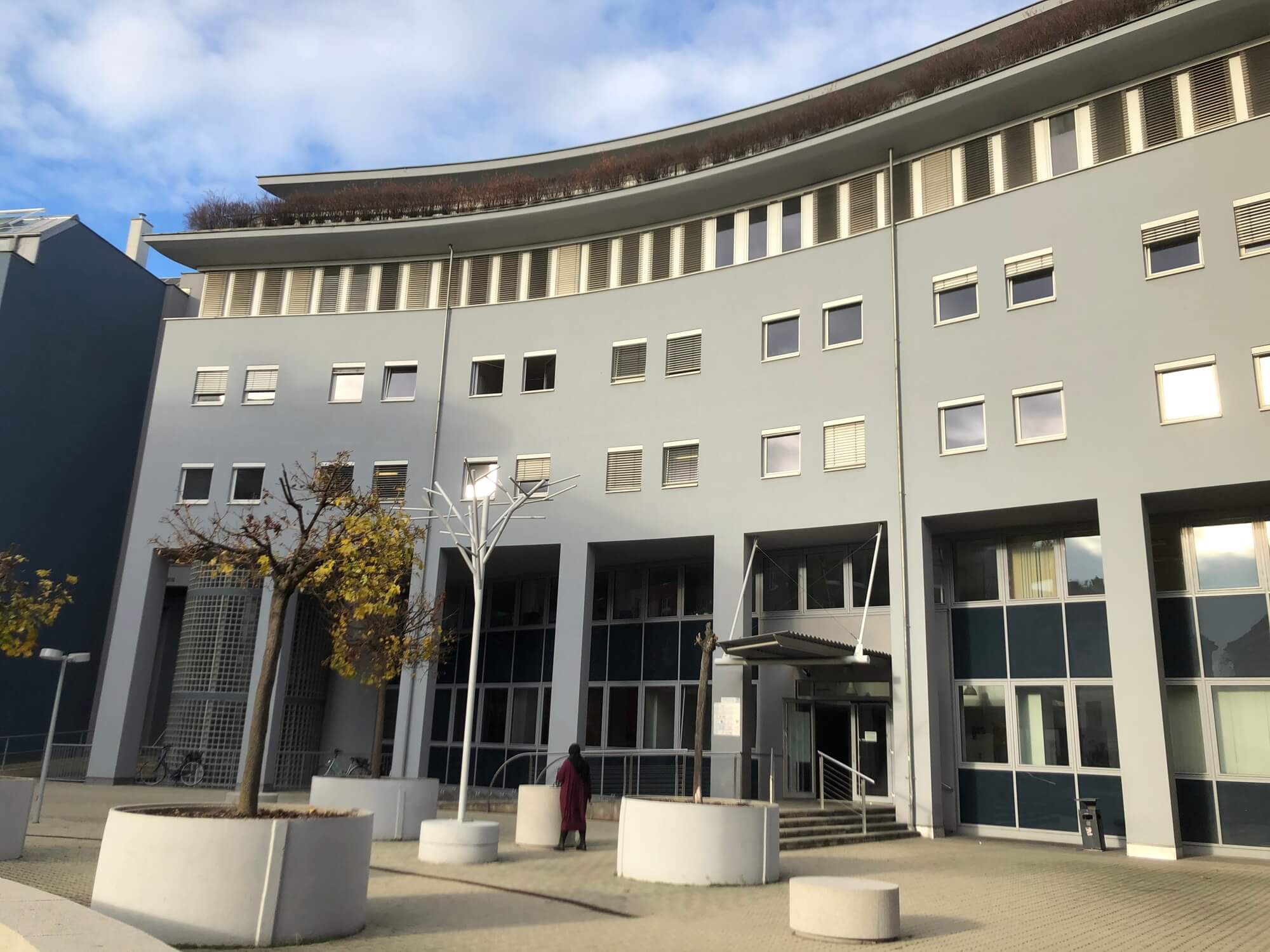 Offene Bürofläche mit viel Tageslicht