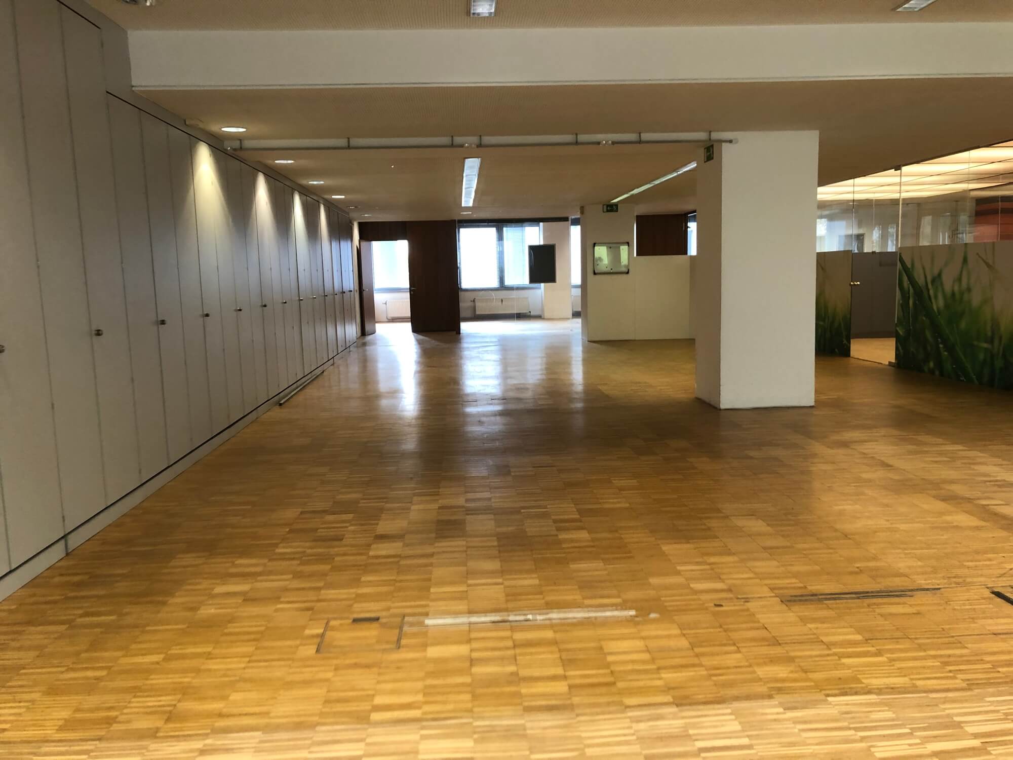 Offene Bürofläche mit viel Tageslicht