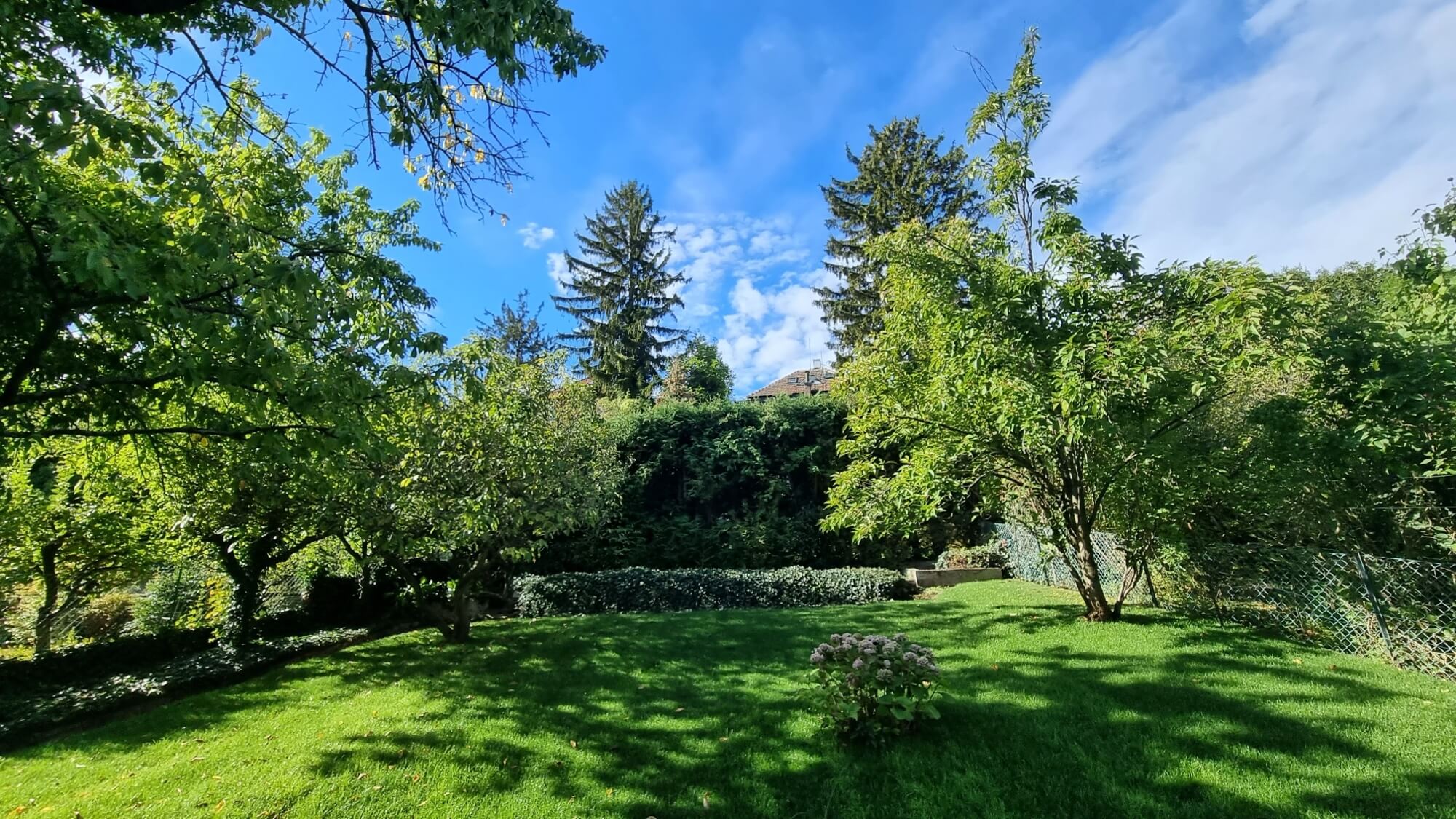 Besonders charmantes Einfamilienhaus mit Garten in Dornbach zur Miete