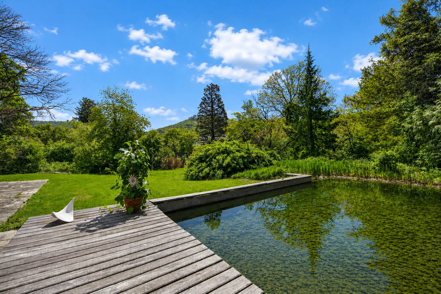 Bungalow & traditional farm barn on 5,600 sq m