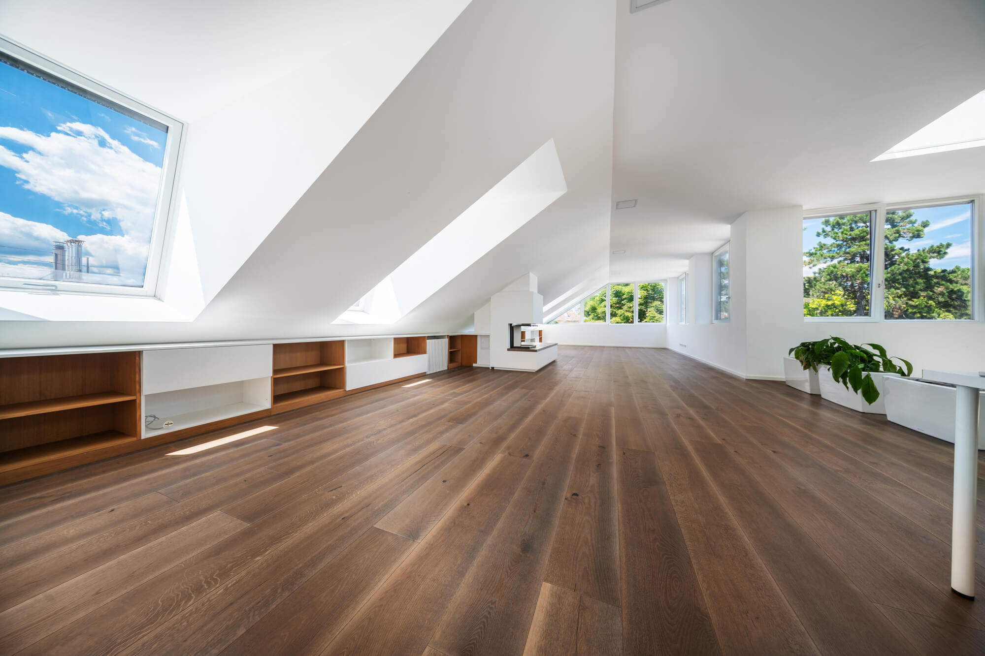 Elegant Penthouse with Historic Charm and an Exclusive Rooftop Garden in Hietzing