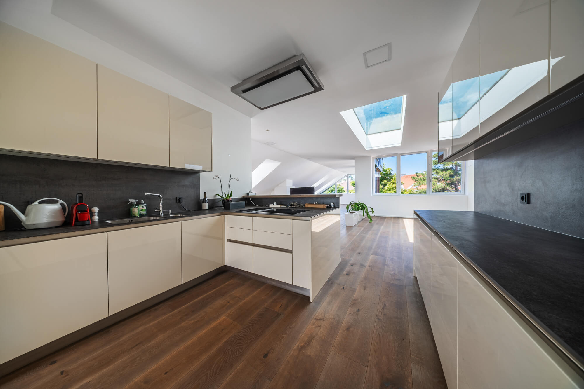 Elegant Penthouse with Historic Charm and an Exclusive Rooftop Garden in Hietzing
