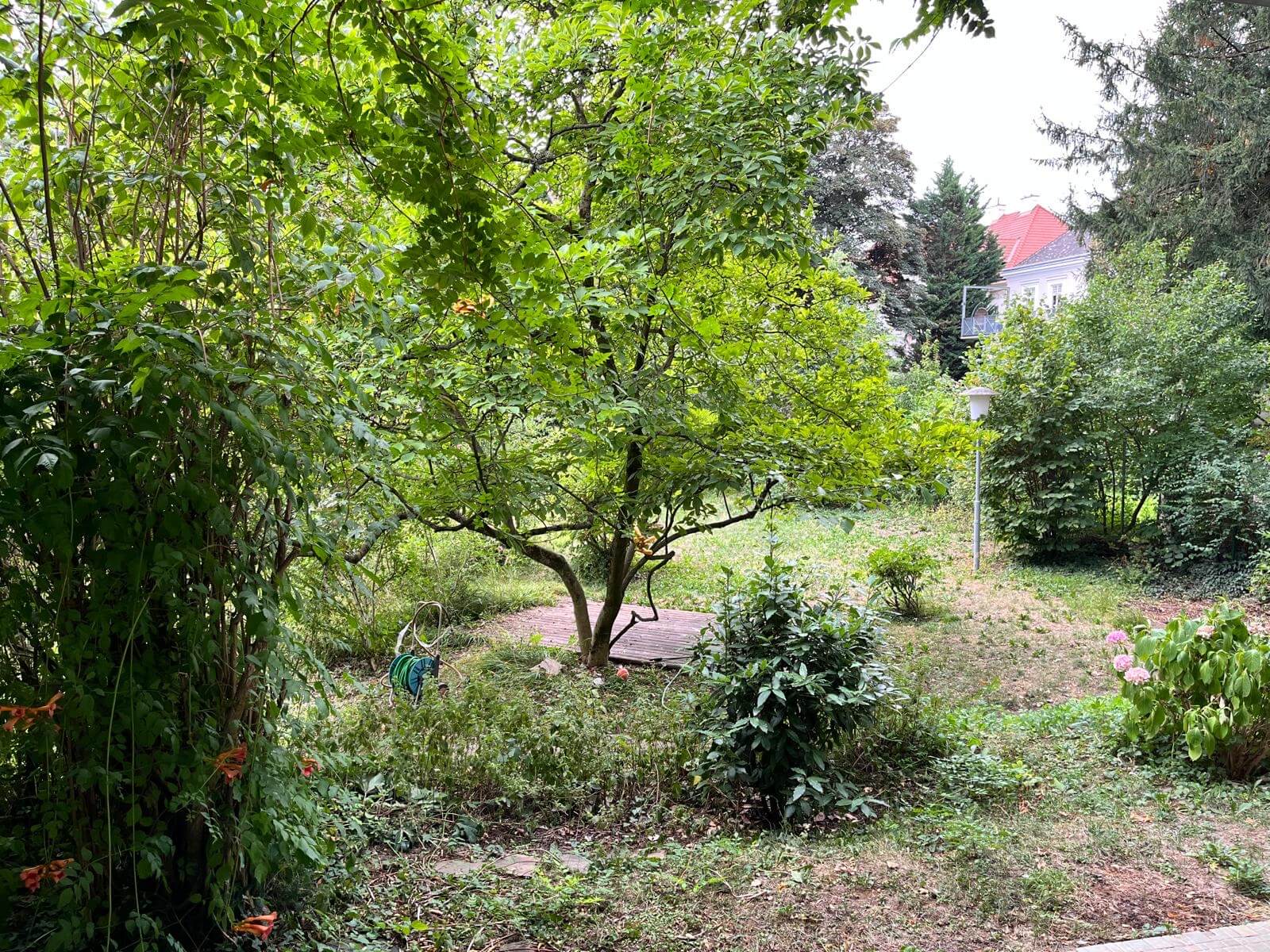 Garden apartment in the heart of the Cottage district