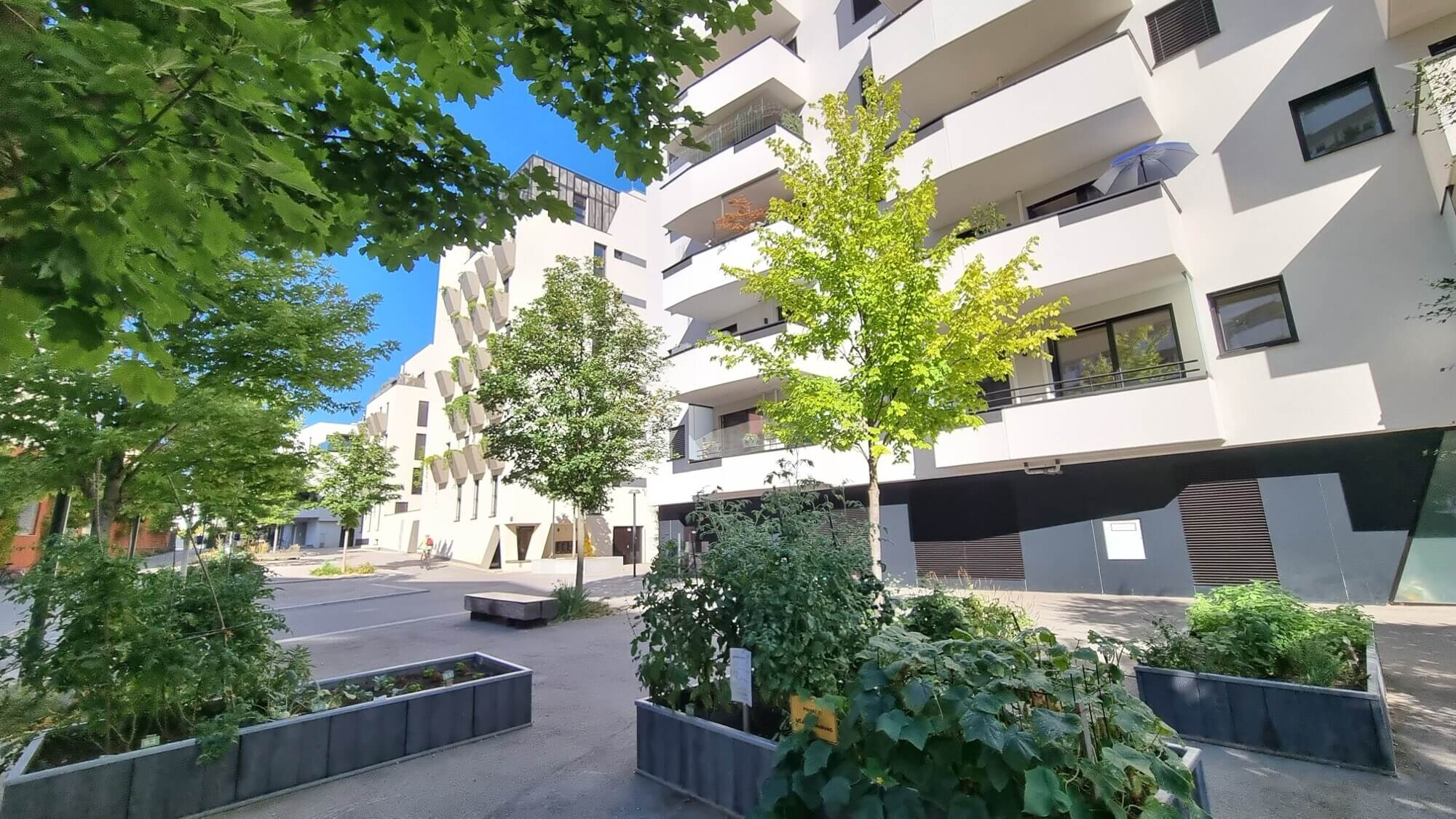 Peaceful green setting with direct views of Otto Benesch Park