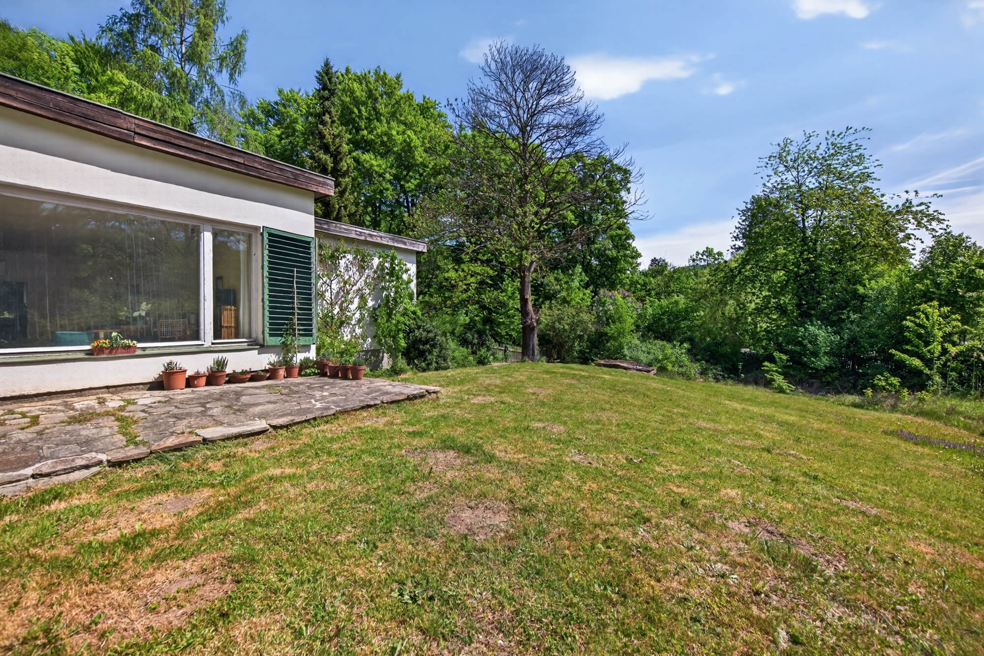 Bungalow & Stadl auf 5.600 m² Grund - Erweiterungspotenzial bis ca. 300 m² Wohnfläche in Weidlingbach
