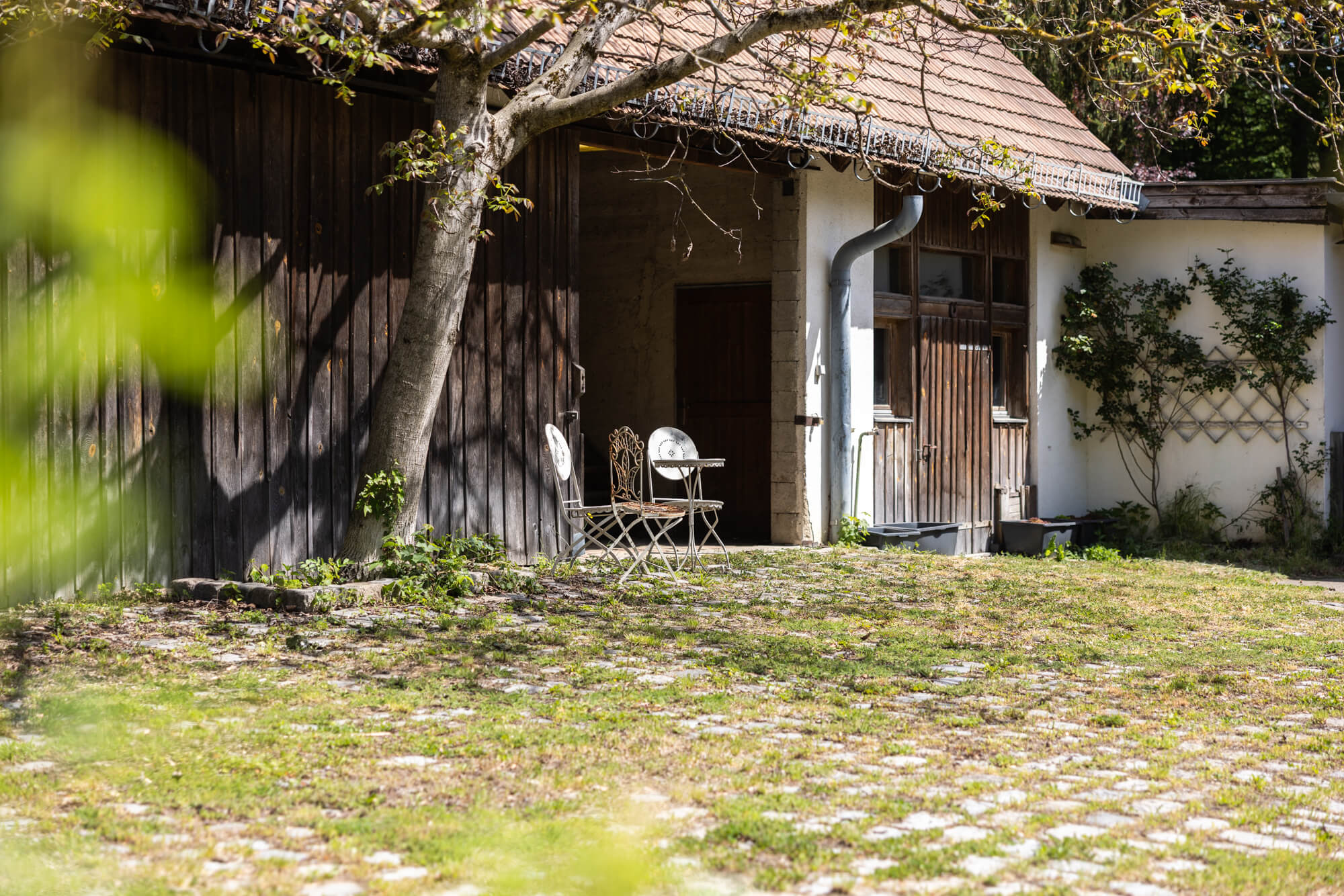 Bungalow & Stadl auf 5.600 m² Grund - Erweiterungspotenzial bis ca. 300 m² Wohnfläche in Weidlingbach