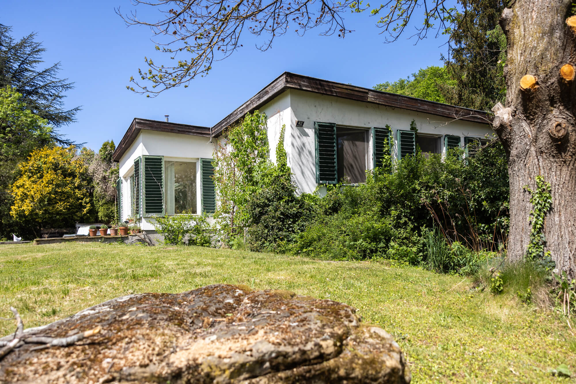 Bungalow & Stadl auf 5.600 m² Grund - Erweiterungspotenzial bis ca. 300 m² Wohnfläche in Weidlingbach