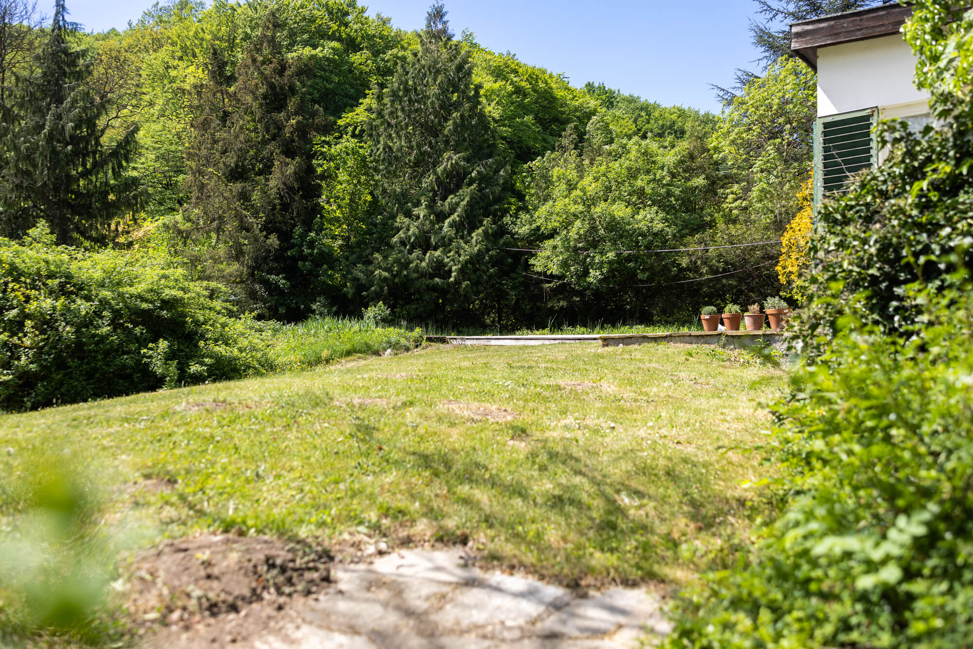 Bungalow & Stadl auf 5.600 m² Grund - Erweiterungspotenzial bis ca. 300 m² Wohnfläche in Weidlingbach