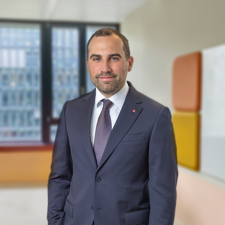Martin Denner, BSc