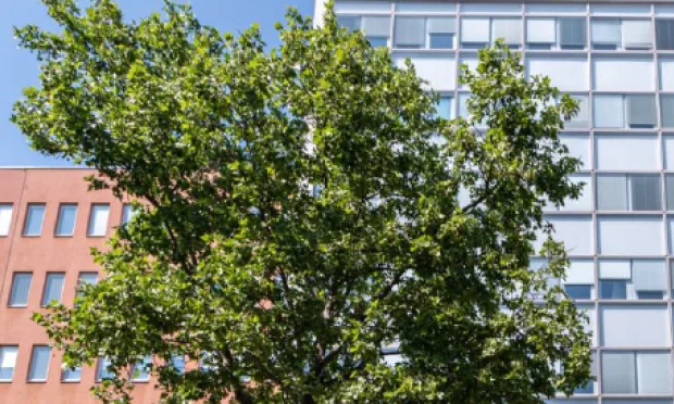 Moderne Büros zwischen Hauptbahnhof und Flughafen!