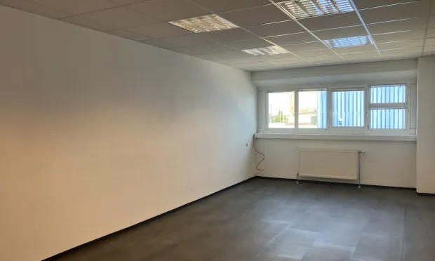 Präsentative Lagerflächen