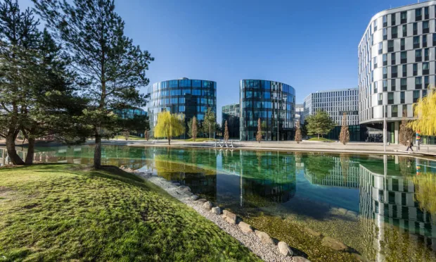 Panoramic offices – where innovation meets creativity