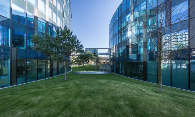 Panoramic offices – where innovation meets creativity