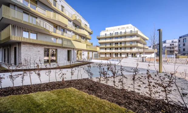 Hirschfeld - First occupancy with outdoor spaces - sustainable living on the outskirts of the city!