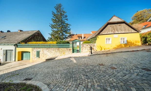 Die Strauss-Villa in Döbling