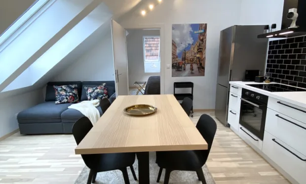 attic apartment, 2 rooms plus gallery - 58m² terrace - representative house