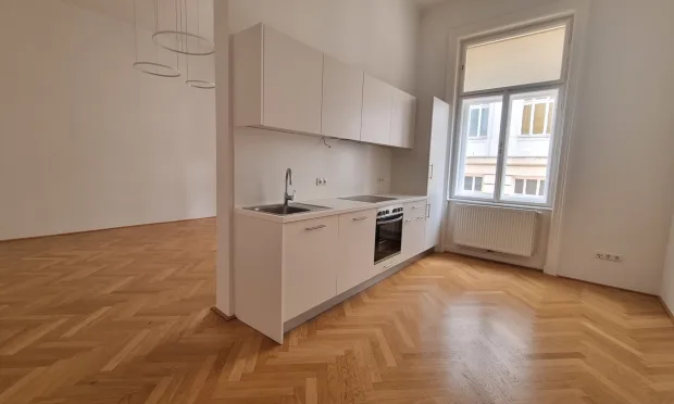 stylishly renovated old building apartment - first occupancy