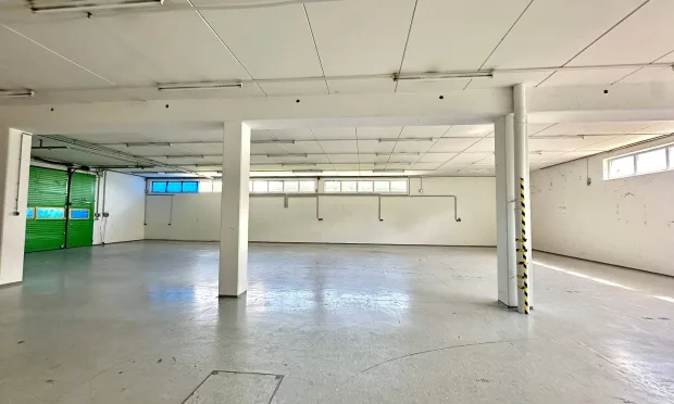 Büro-Lager-Kombi mit großzügiger Grünfläche