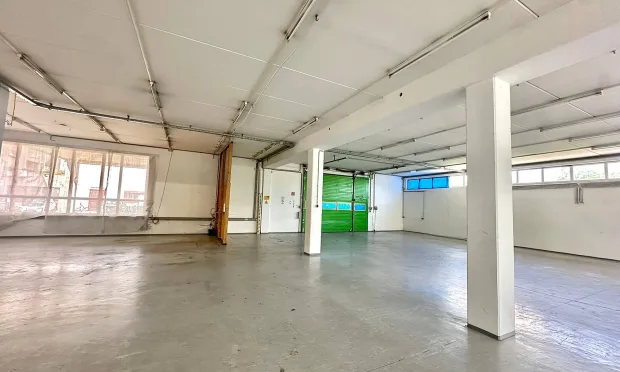 Büro-Lager-Kombi mit großzügiger Grünfläche