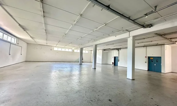 Büro-Lager-Kombi mit großzügiger Grünfläche