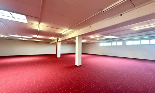 Büro-Lager-Kombi mit großzügiger Grünfläche