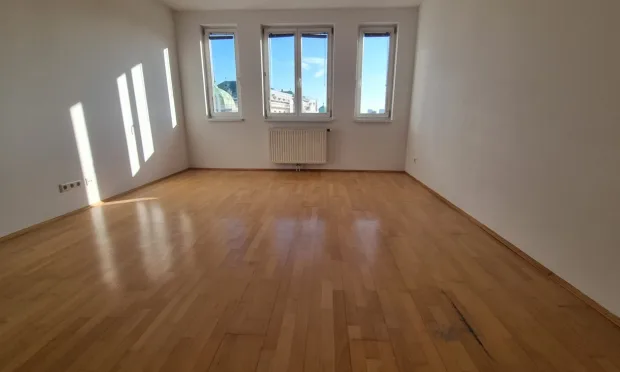 Blick aufs Schloss Belvedere