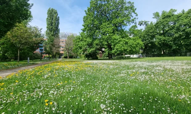 8,000 m² park-like complex – top-design new build in Toskanahof – fully furnished!