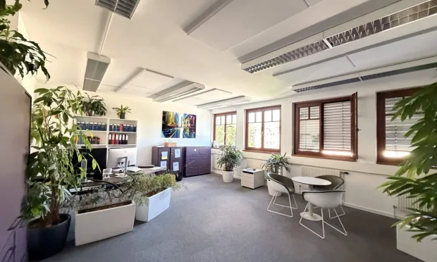 Elegante Bürofläche in Top-Lage mit Terrasse & Blick auf das Palais Liechtenstein