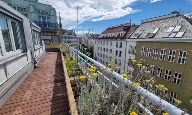 Furnished city apartment with terrace, 2 bedrooms